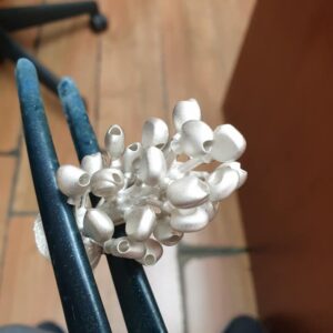 240732781_1961898087292870_1198794106903134484_n