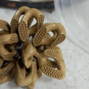 242113822_1963253993853558_9195666262796426825_n